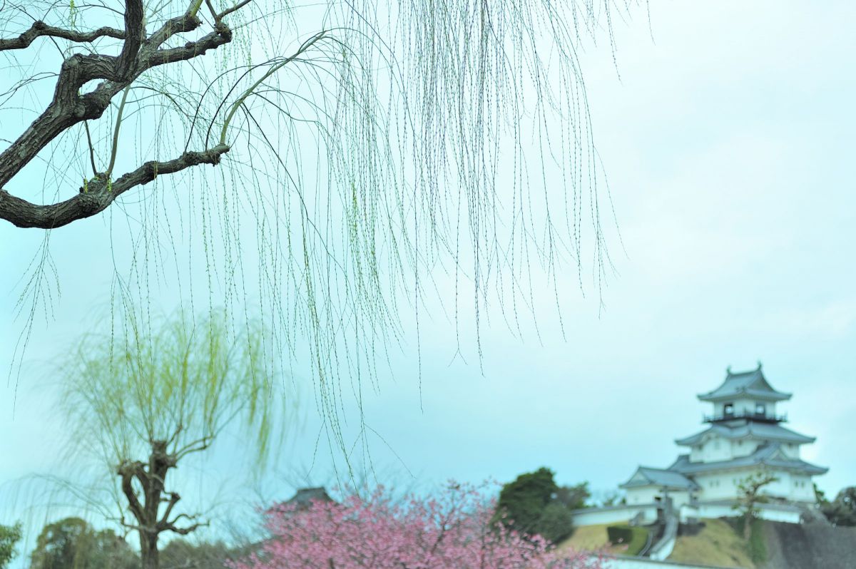 掛川城（静岡県）