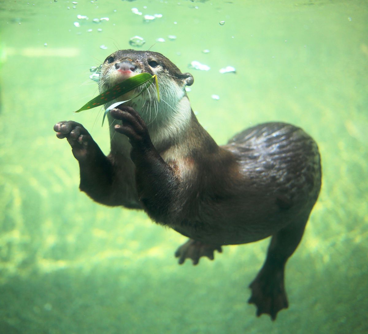 浜松市動物園（静岡県）