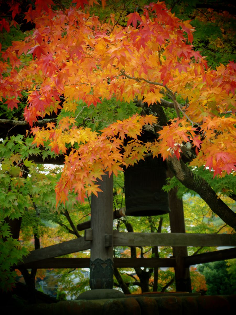 修禅寺