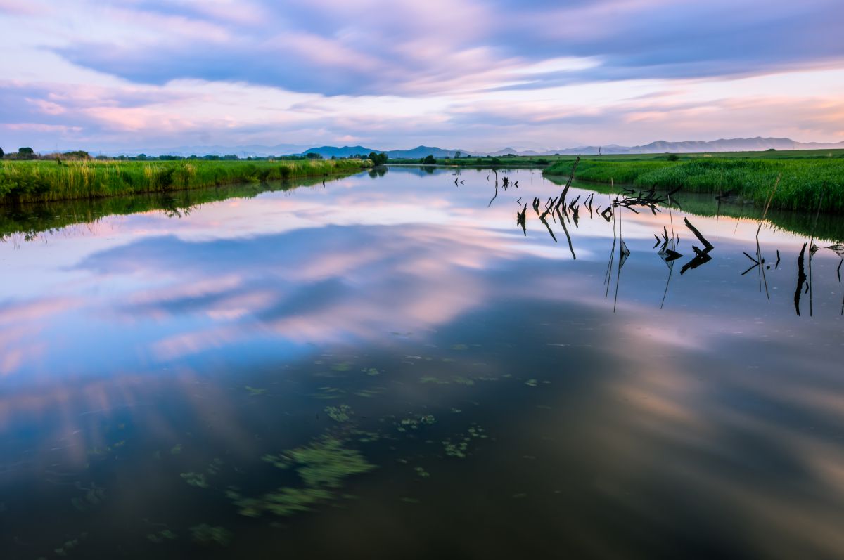 渡良瀬遊水地（栃木県）