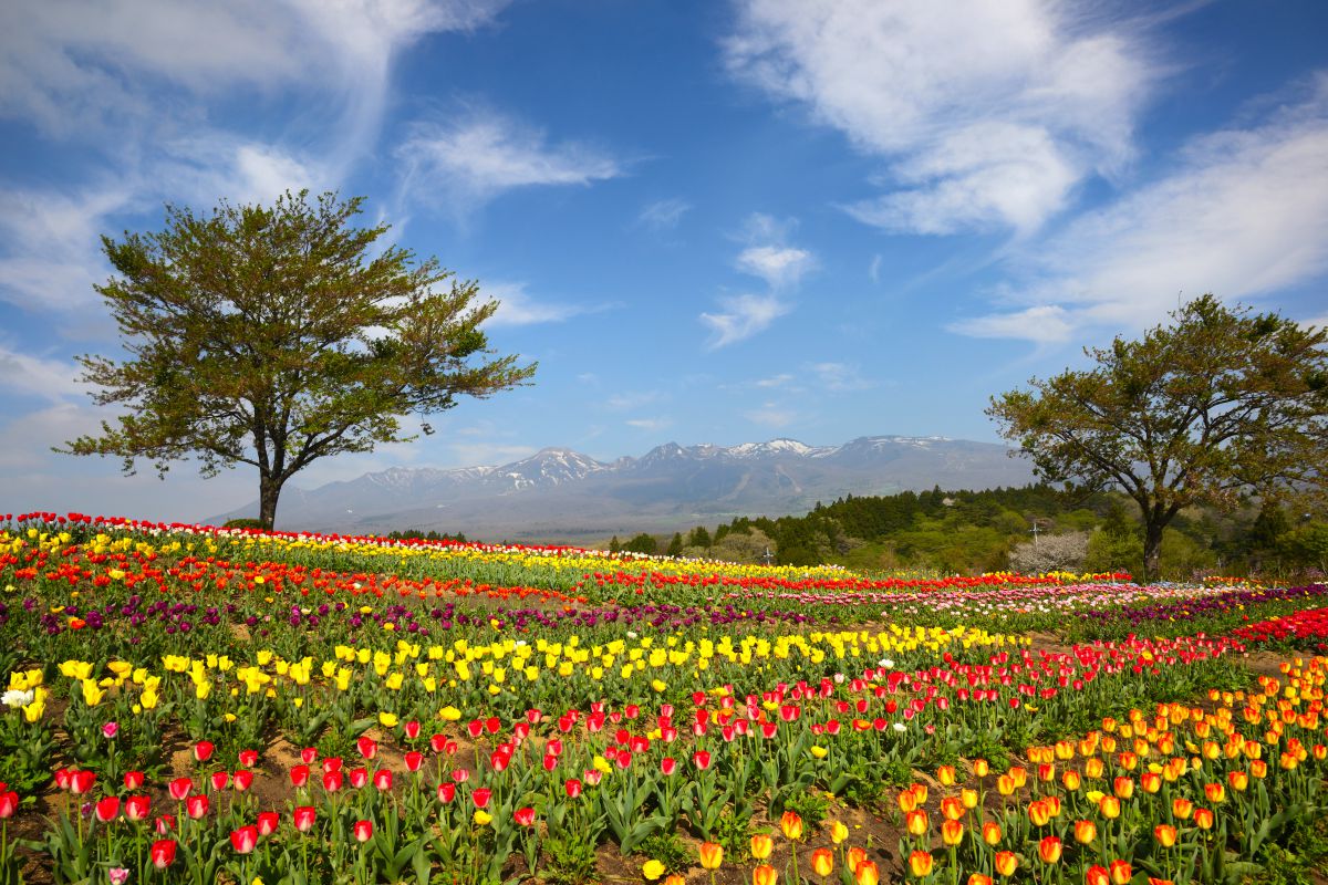 憾満ケ淵（栃木県）