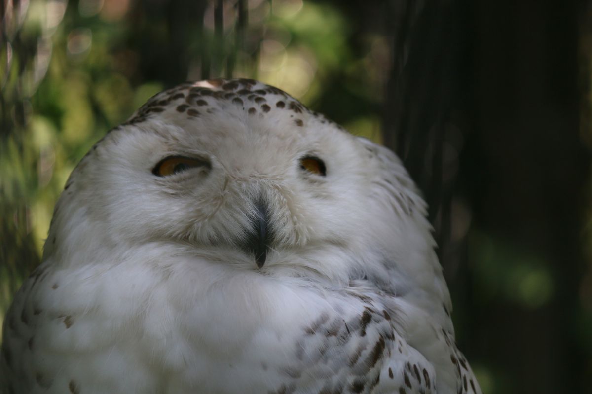 宇都宮動物園（栃木県）