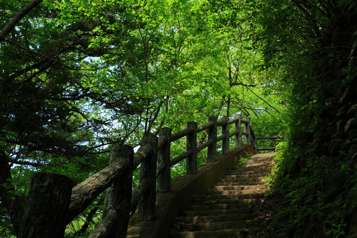 塩原渓谷歩道（栃木県）