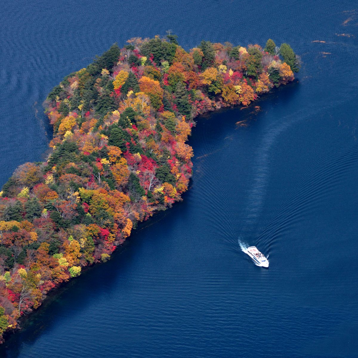 半月山展望台（八丁出島）（栃木県）