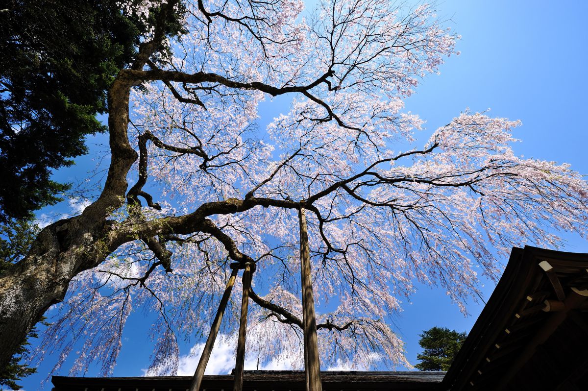 日光田母沢御用邸記念公園（栃木県）