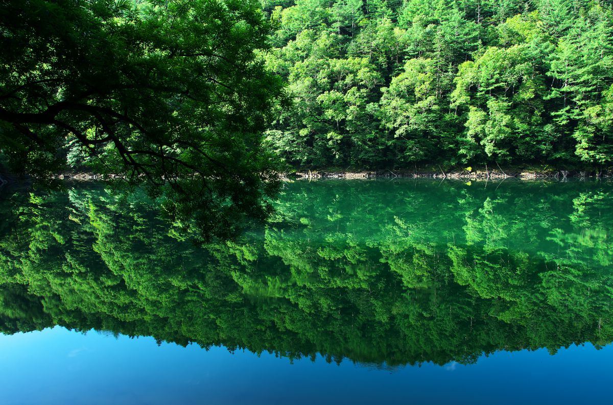 刈込湖（栃木県）