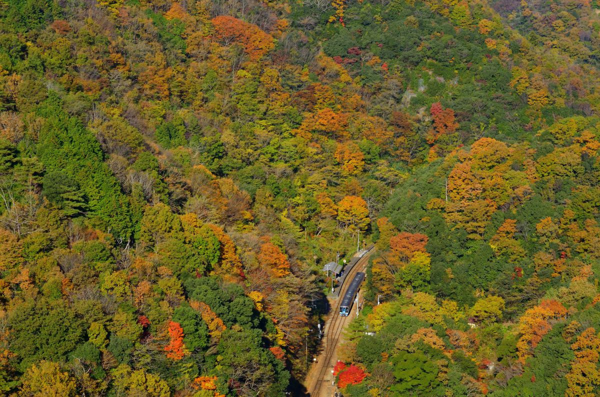 土讃線（徳島県）