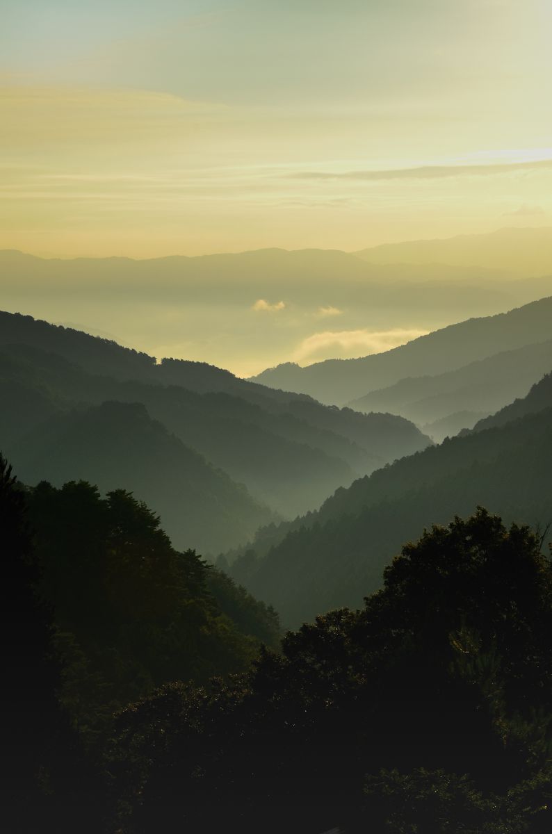 塩塚高原（徳島県）