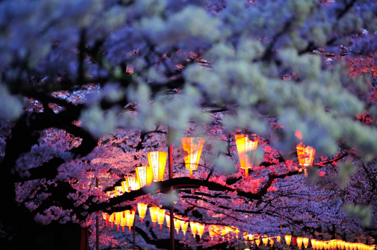 上野（東京都）