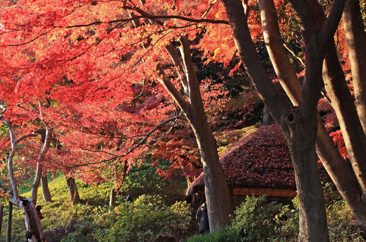 小石川後楽園（東京都）