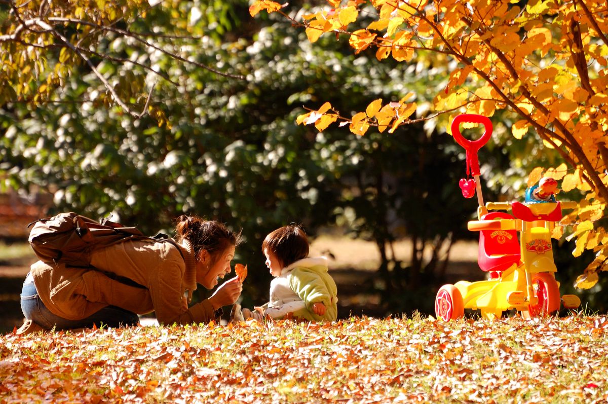 小金井公園（東京都）