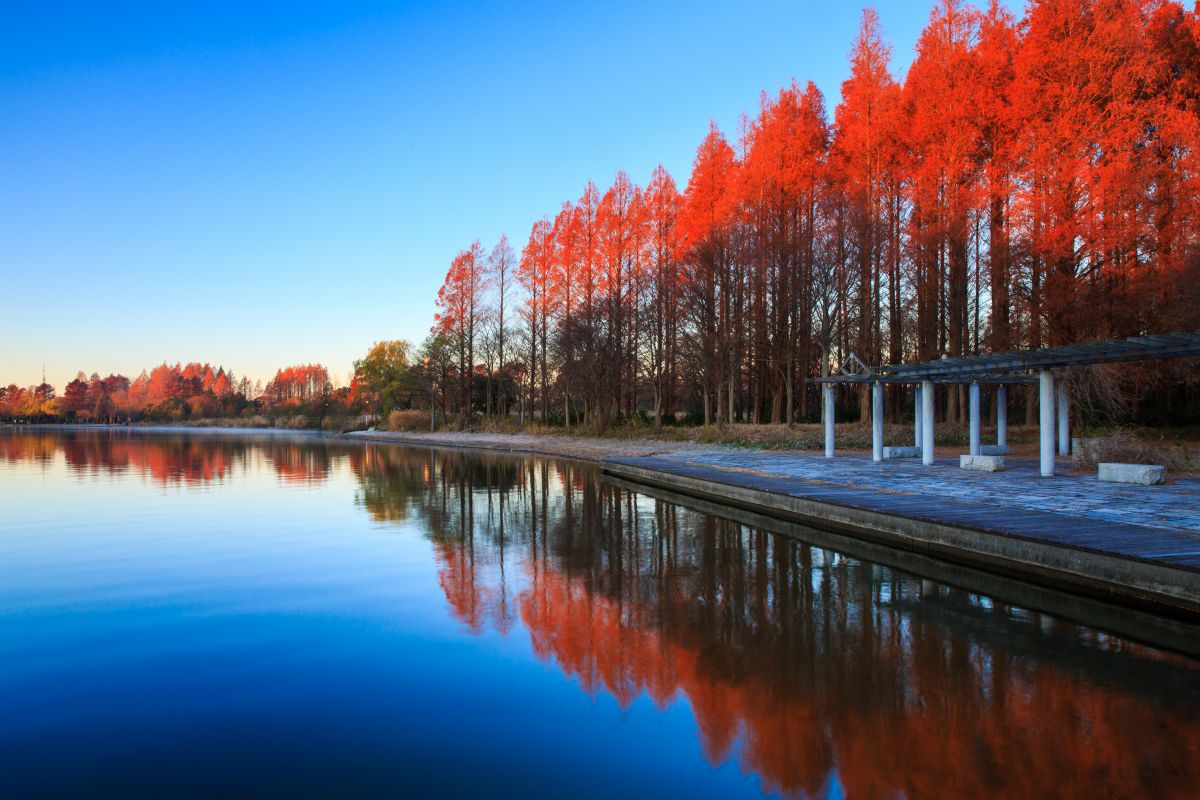 水元公園（東京都）