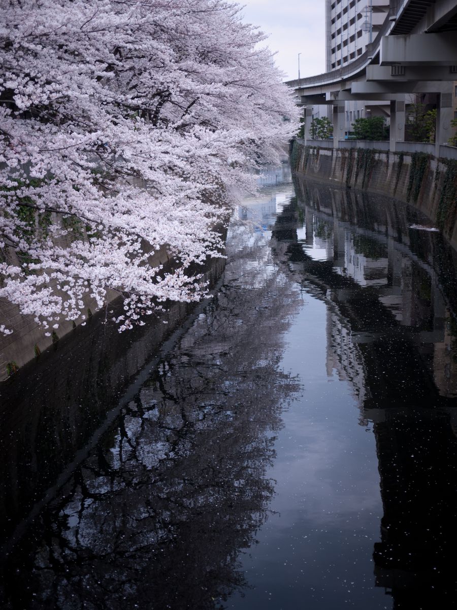 神田川