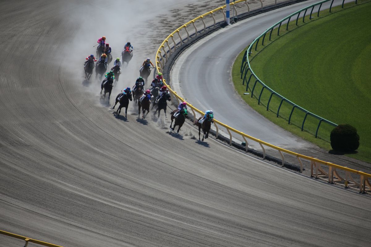 東京競馬場（東京都）