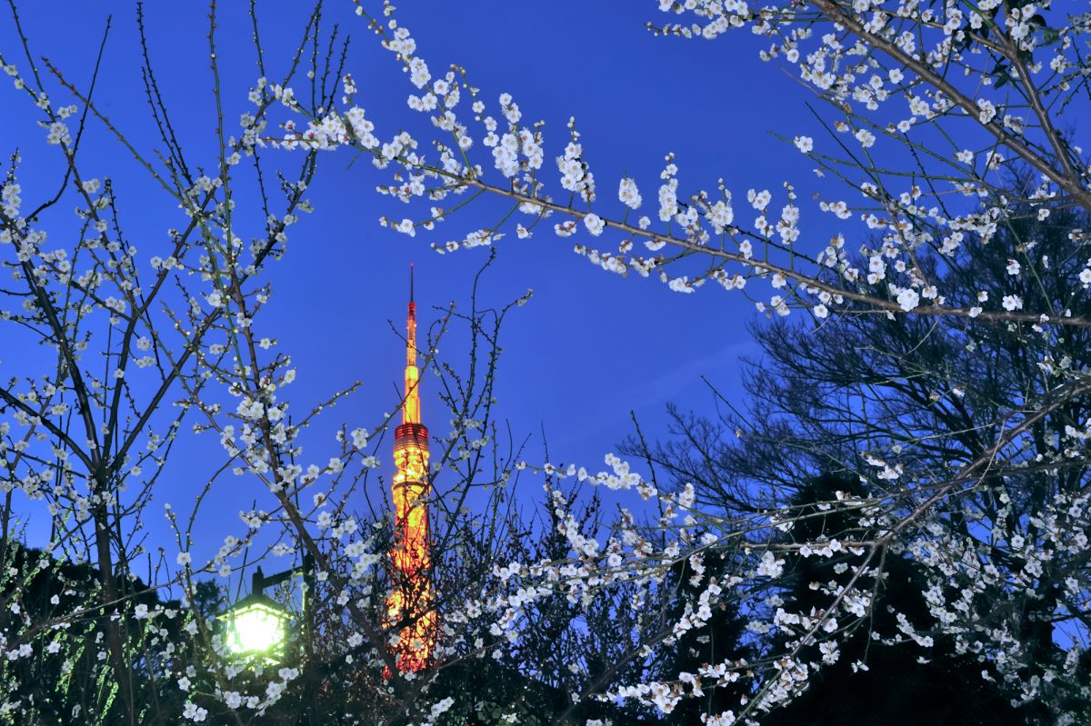 芝公園（東京都）