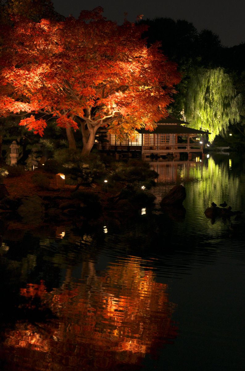 清澄庭園（東京都）