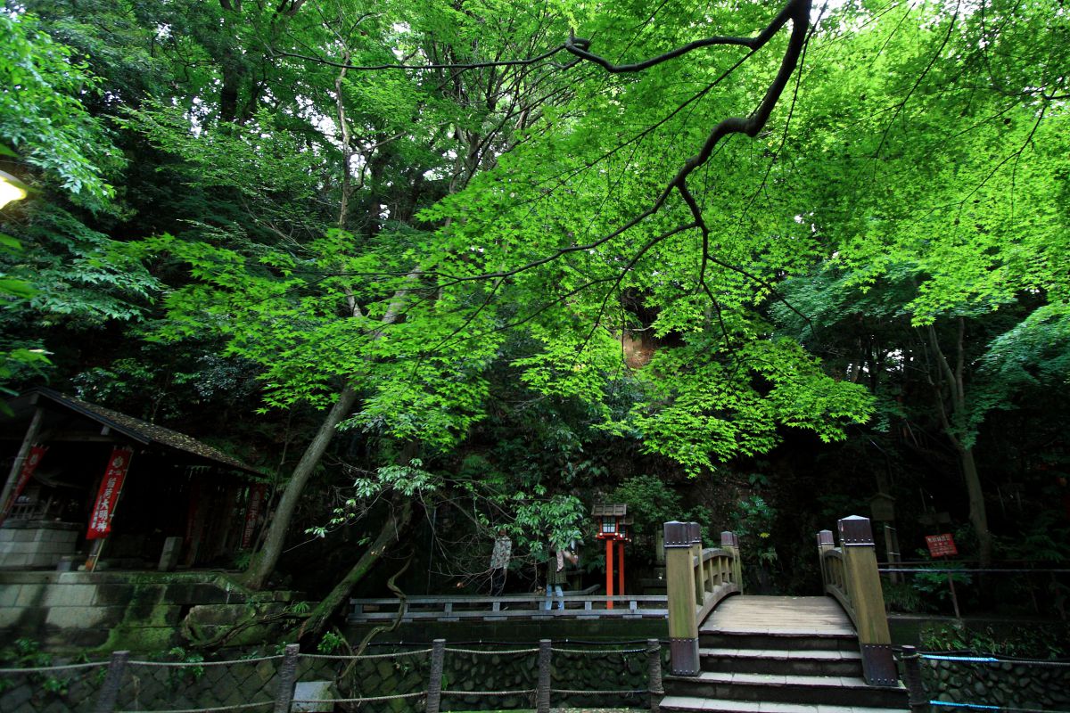 等々力渓谷（東京都）