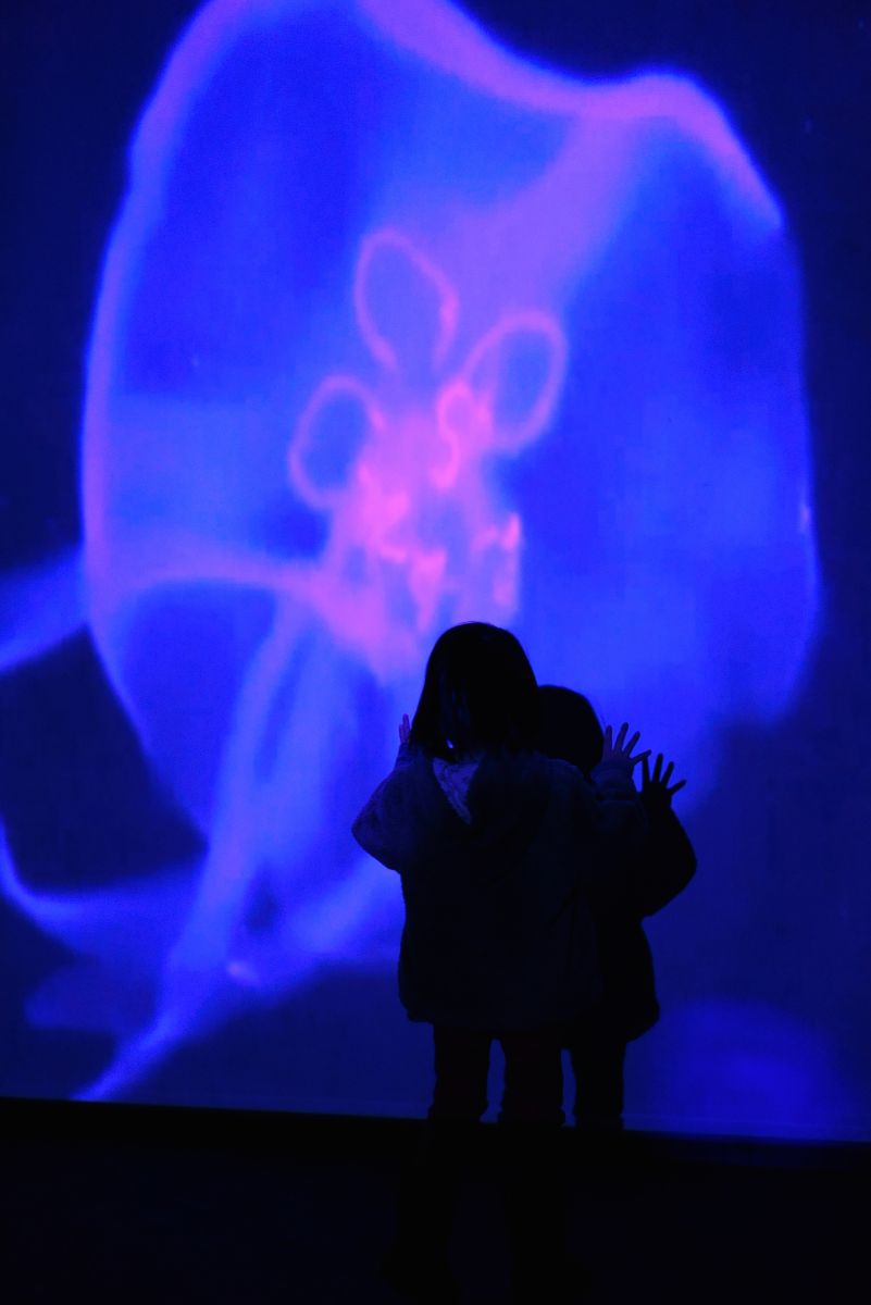 すみだ水族館（東京都）