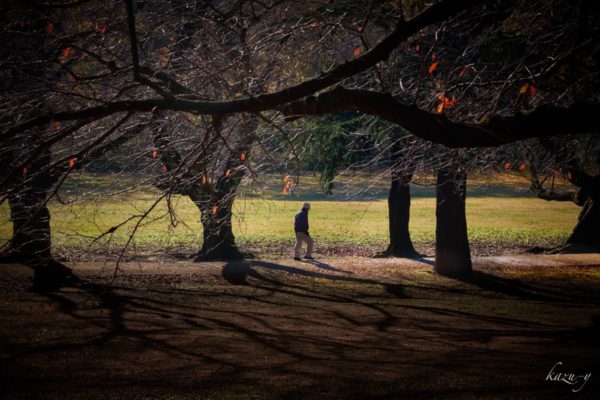 砧公園（東京都）