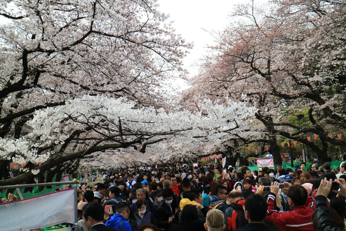 上野恩賜公園