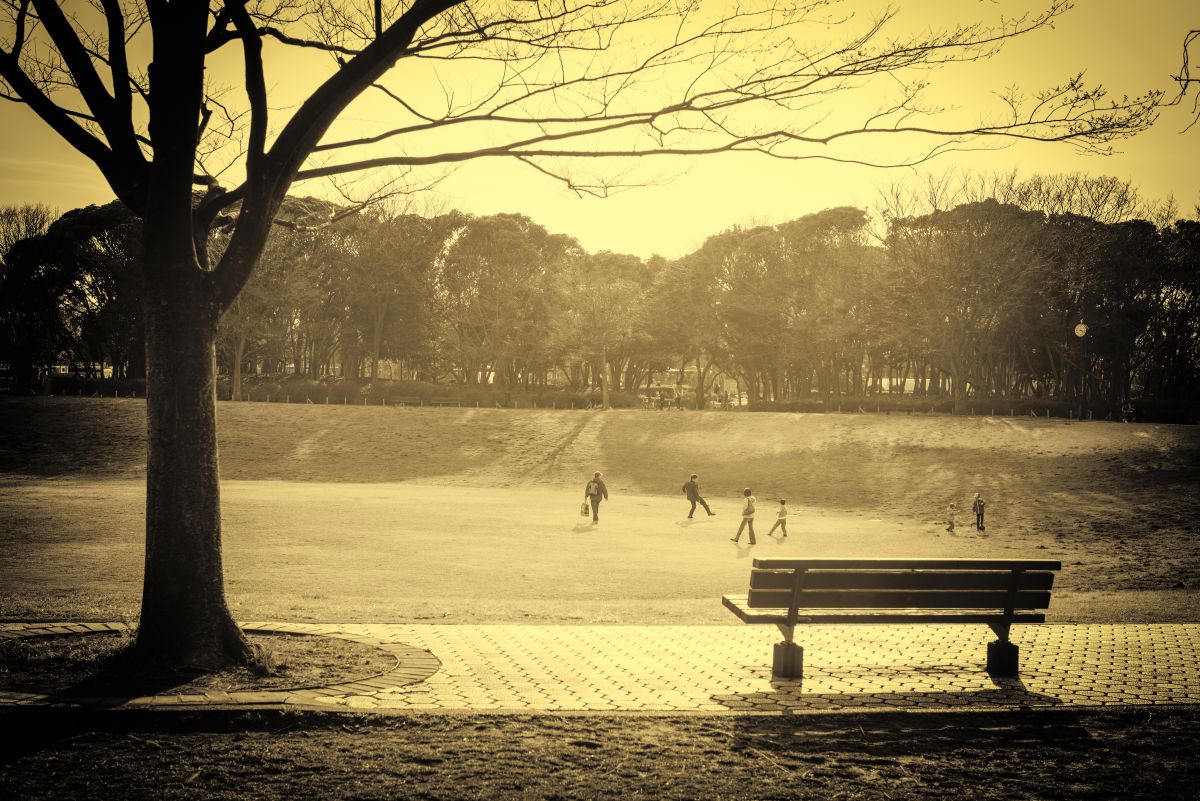 夢の島公園