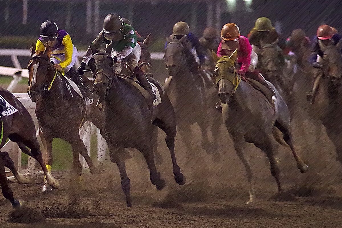 大井競馬場