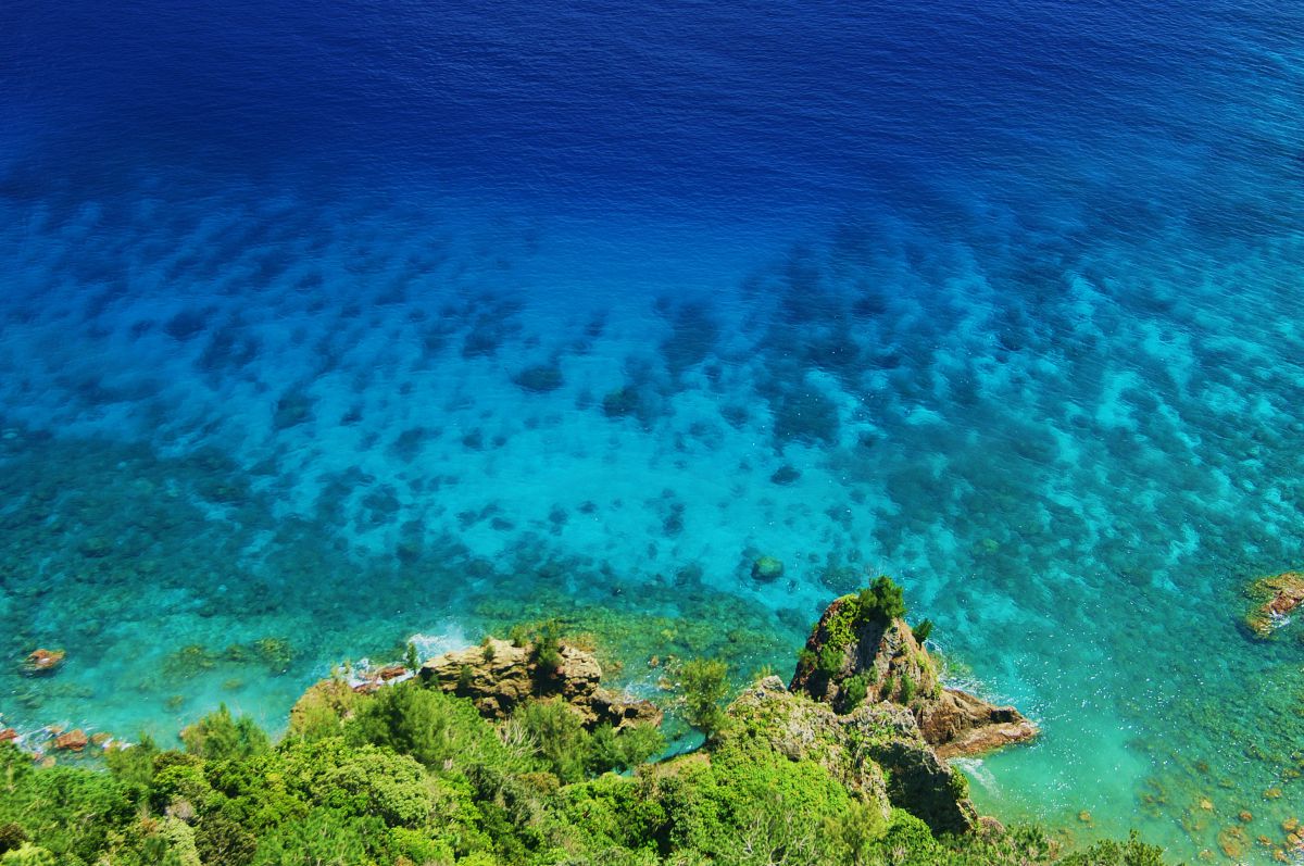 小笠原諸島