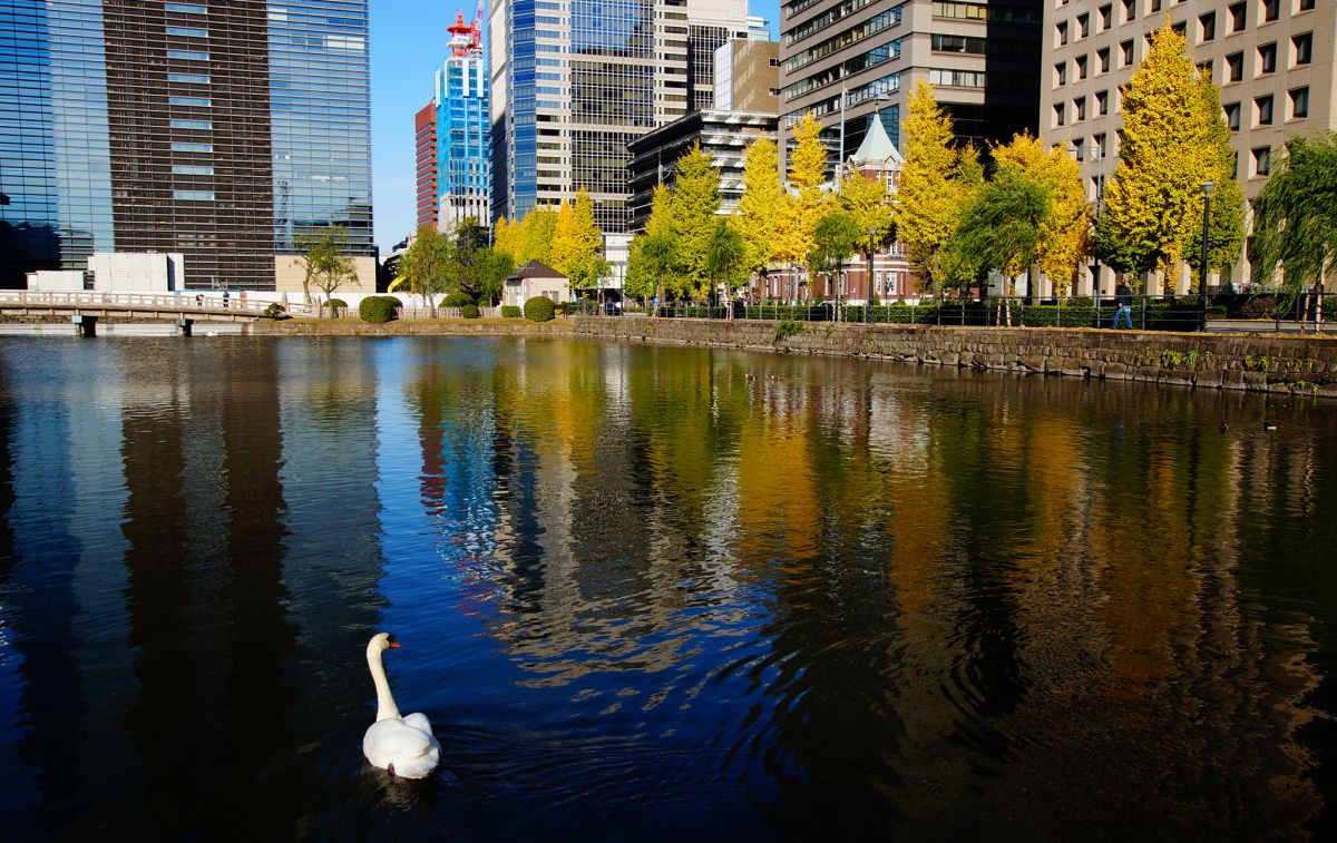 皇居外苑（東京都）