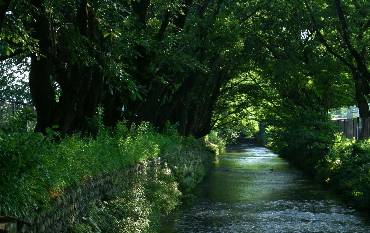 玉川上水（東京都）