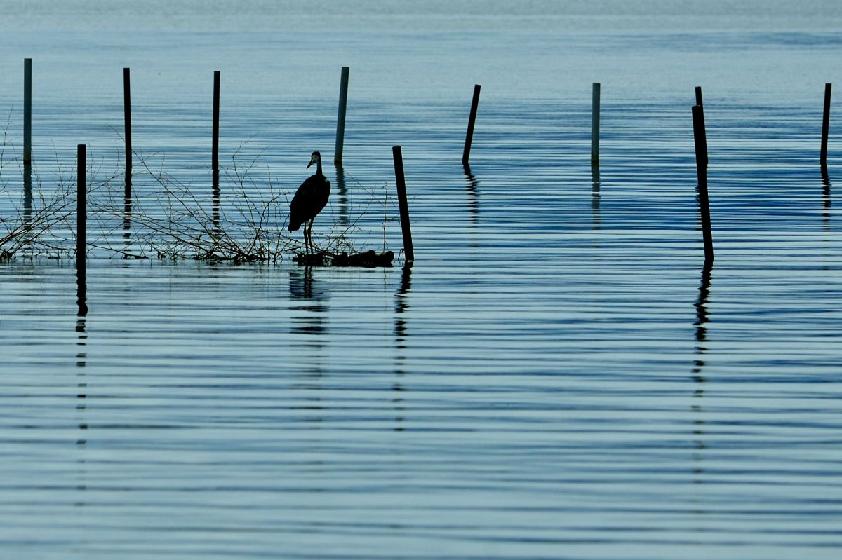 湖山池（鳥取県）