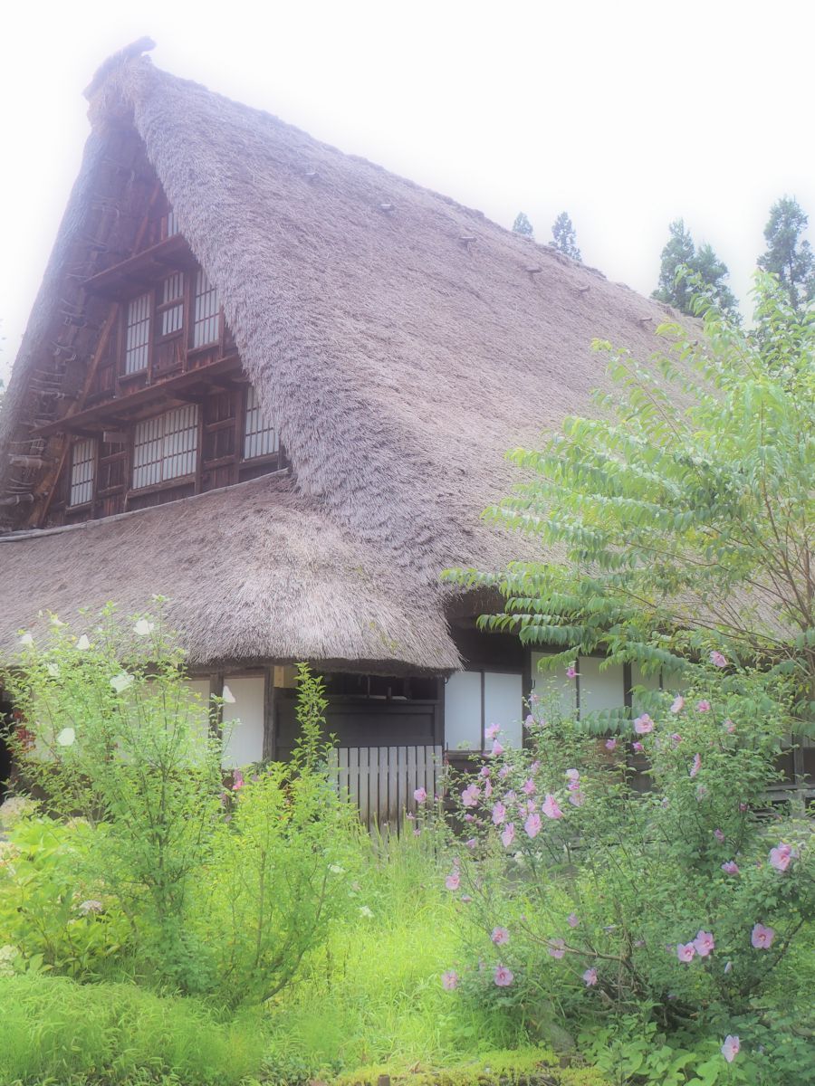 菅沼合掌造り（富山県）