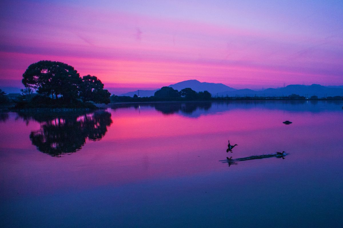 和歌山　平池（和歌山県）