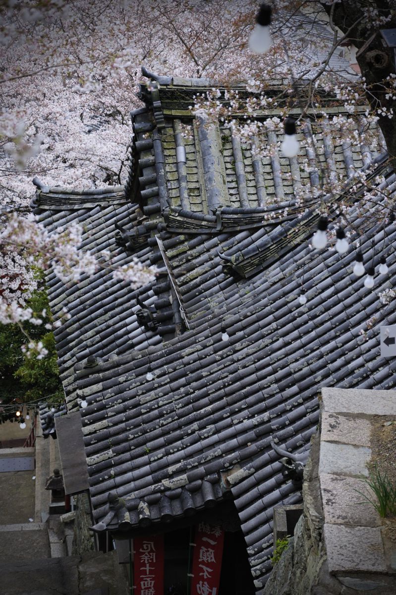 紀三井寺（和歌山県）