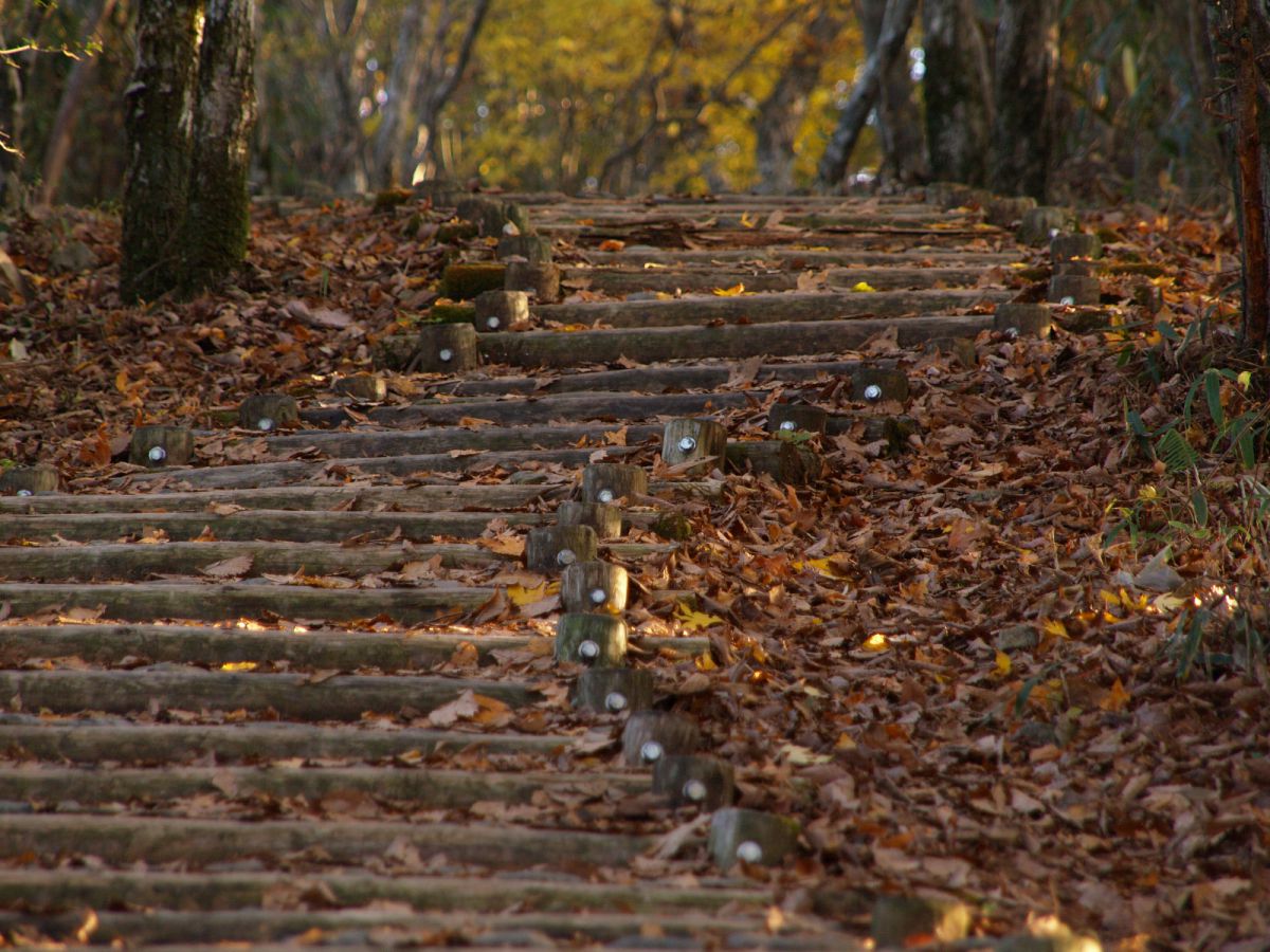 護摩壇山（和歌山県）