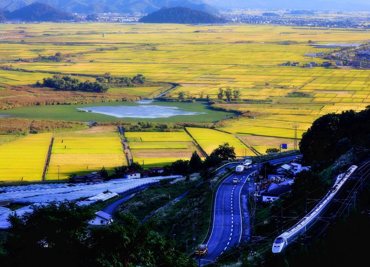 奥羽本線（山形県）