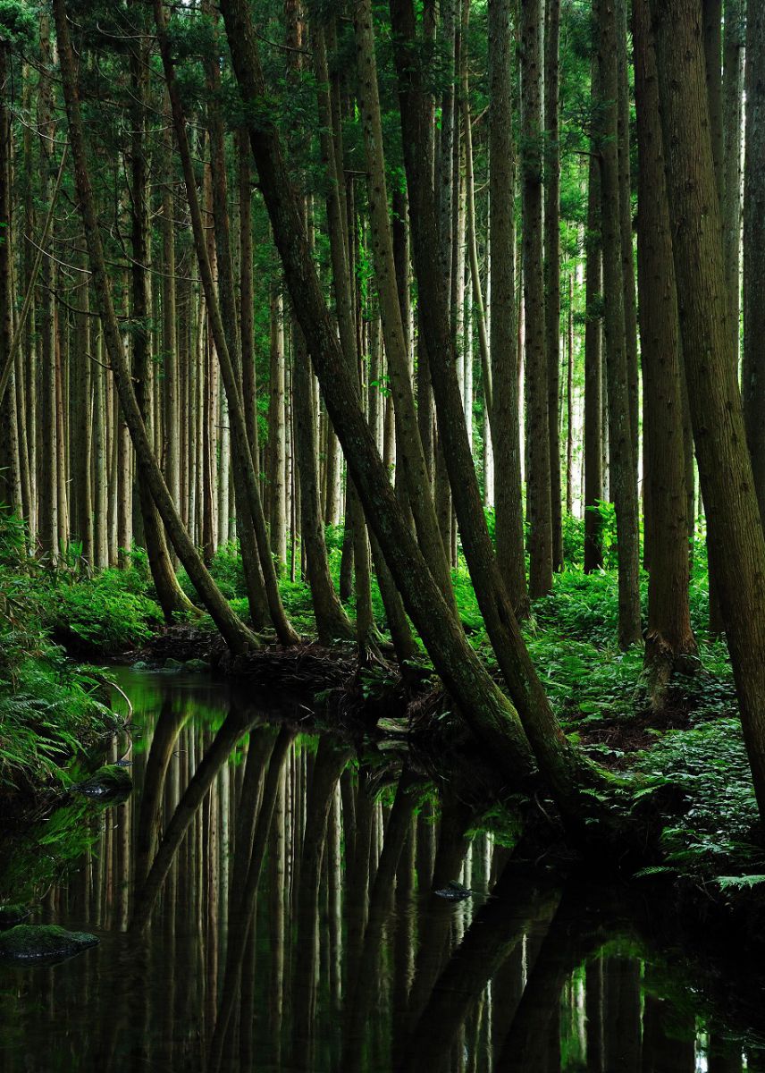 牛渡川