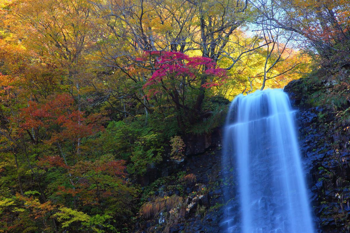 山形　玉簾の滝