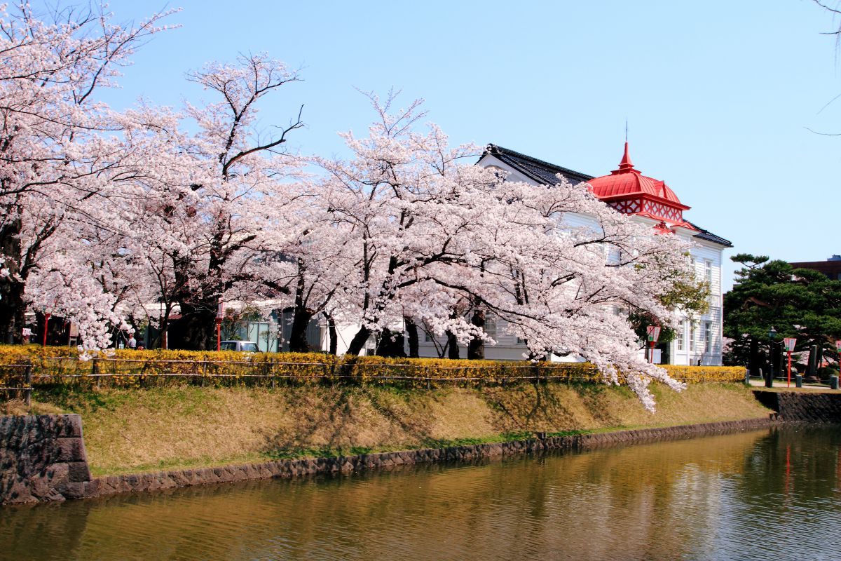 鶴岡公園