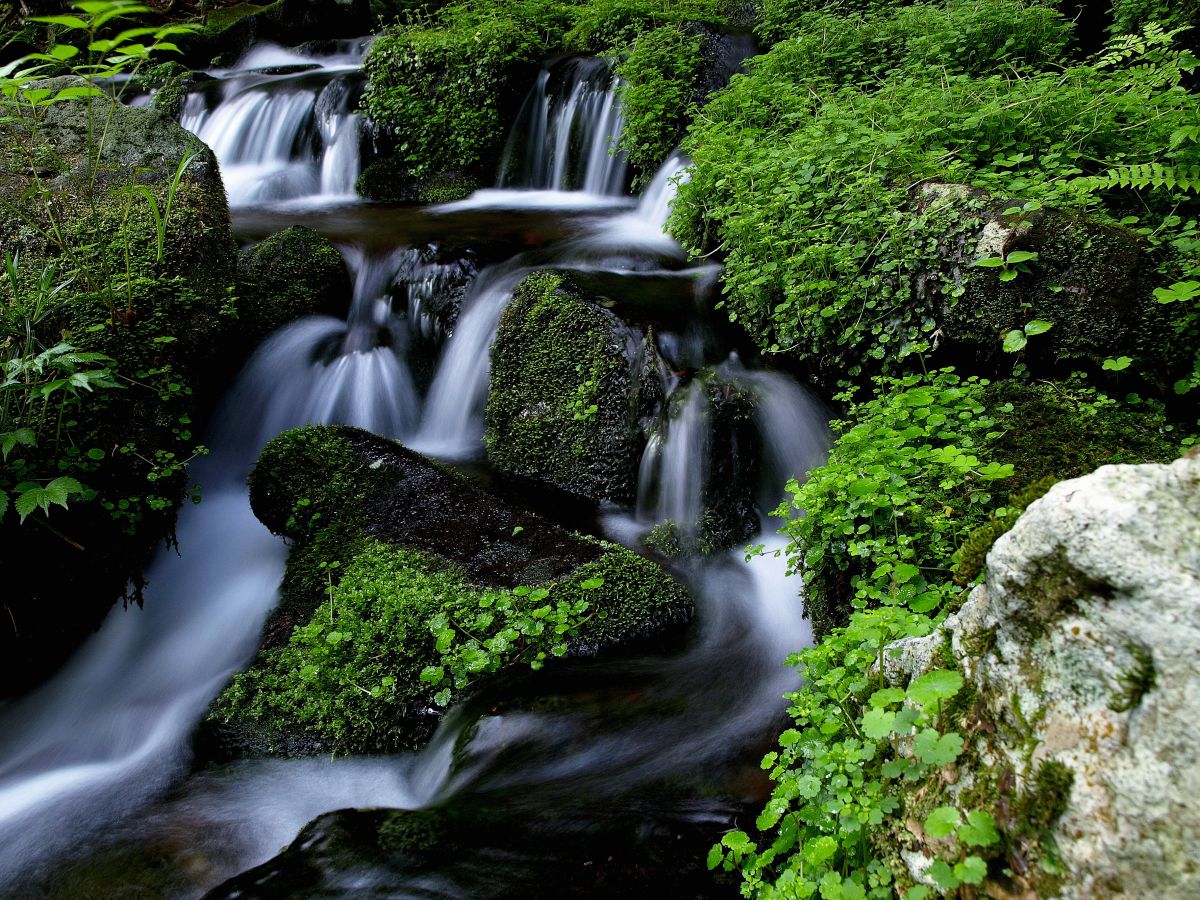 胴腹滝（山形県）