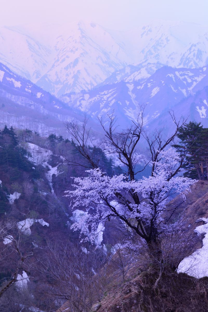 樽口峠（山形県）