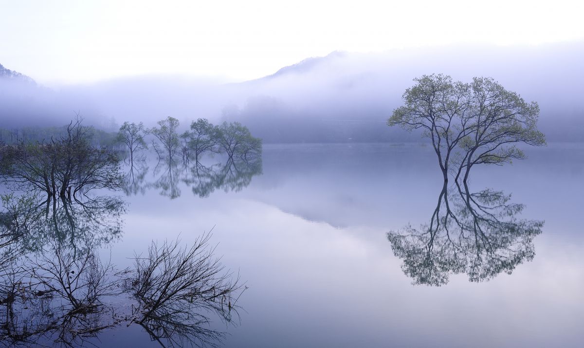 白川湖