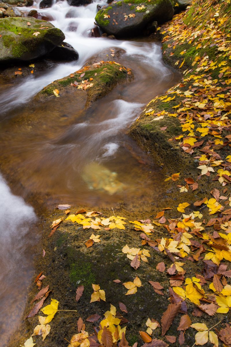 面白山（山形県）