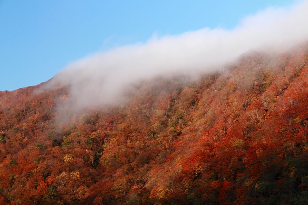 最上峡（山形県）