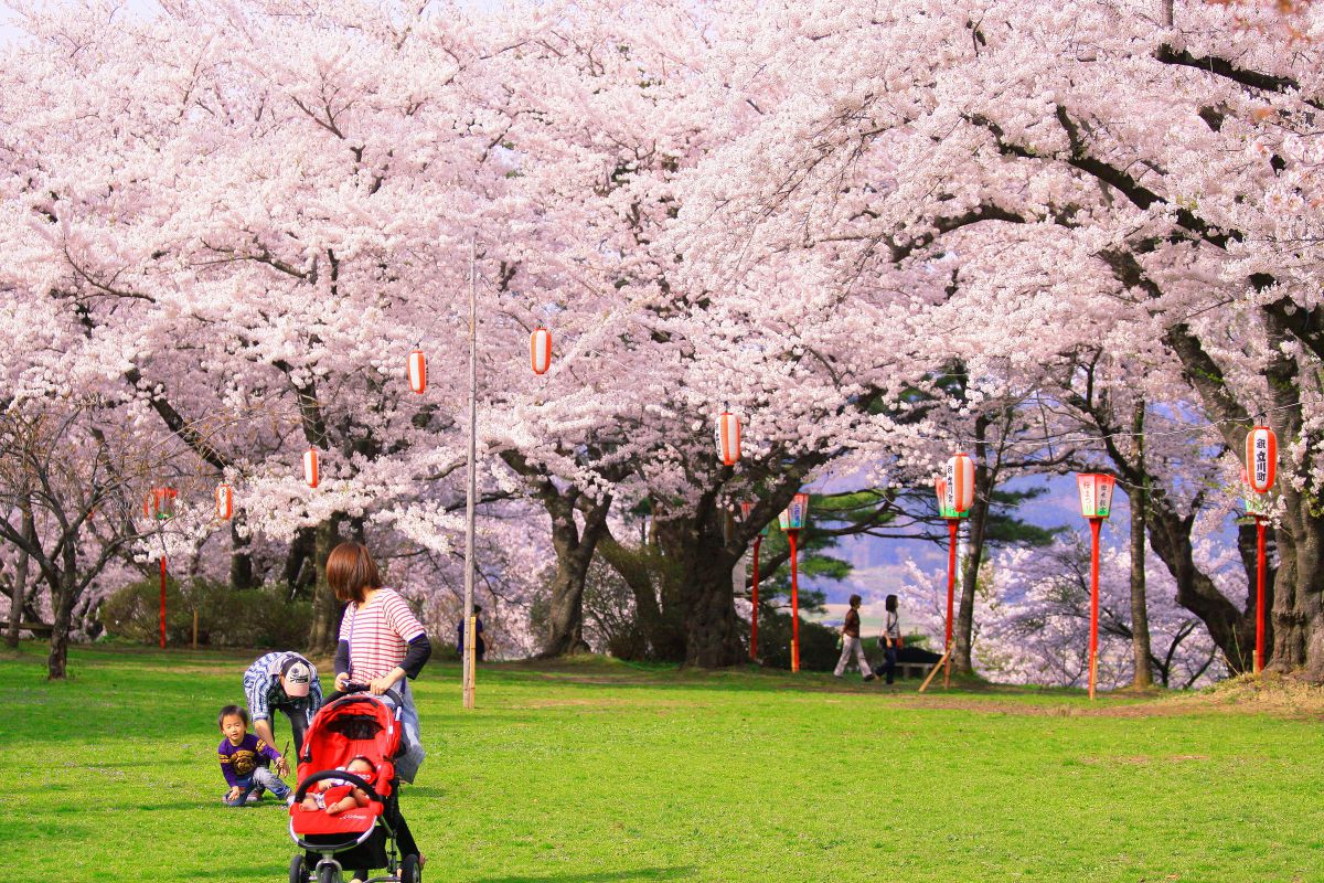 楯山公園（山形県）