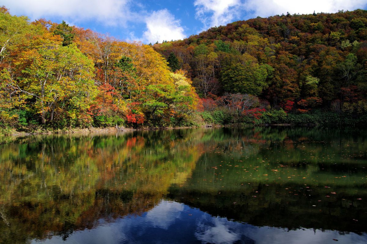 蔵王　中央高原（山形県）