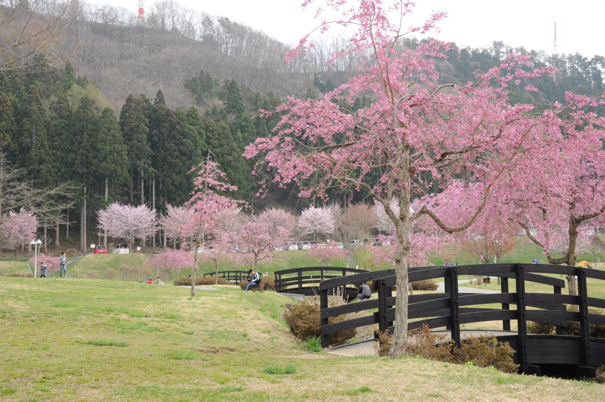 西蔵王高原（山形県）