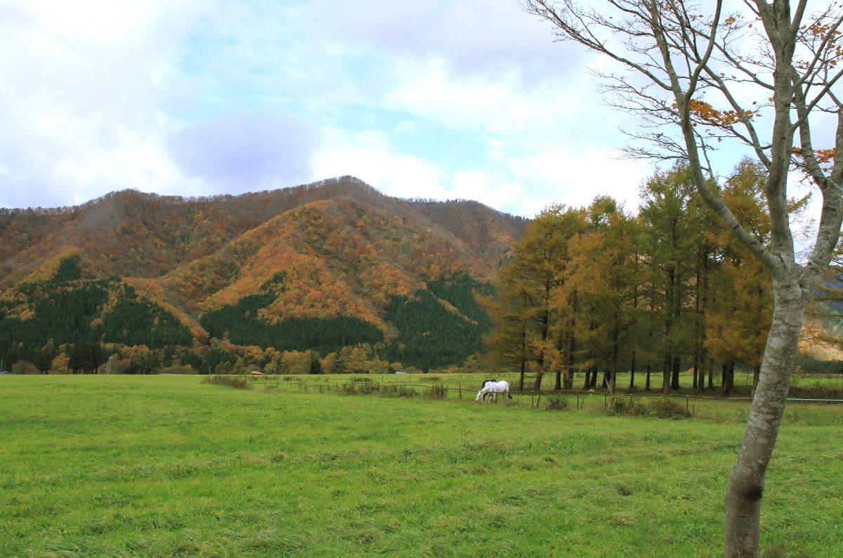 前森高原（山形県）