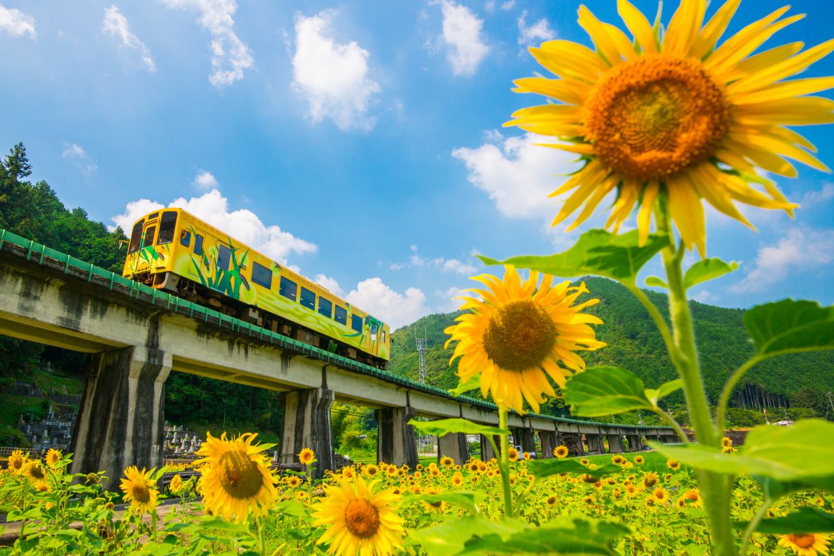 錦川清流線（山口県）