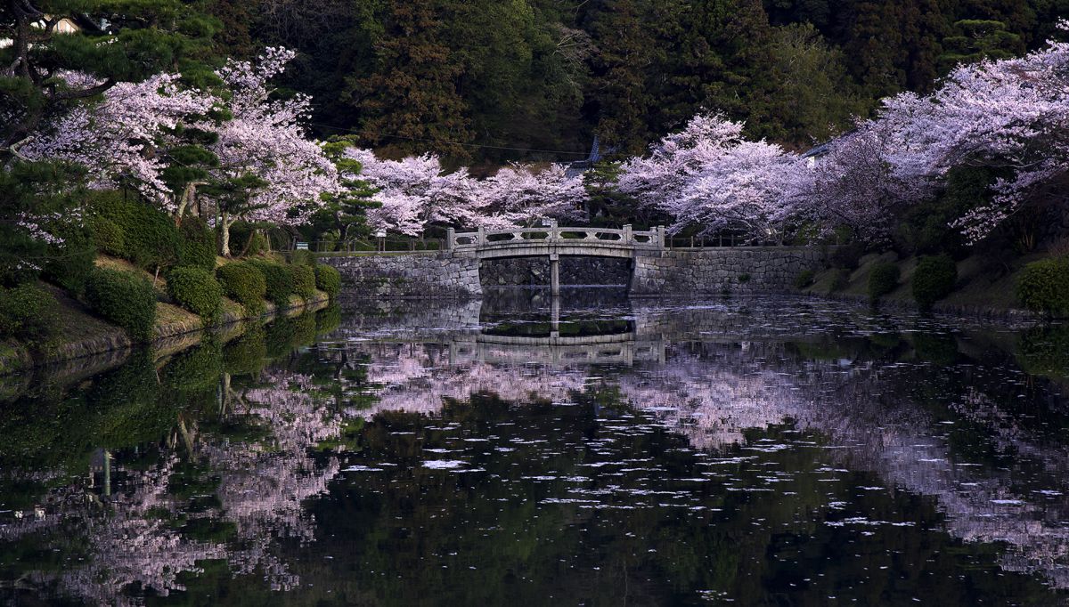 吉香公園（山口県）