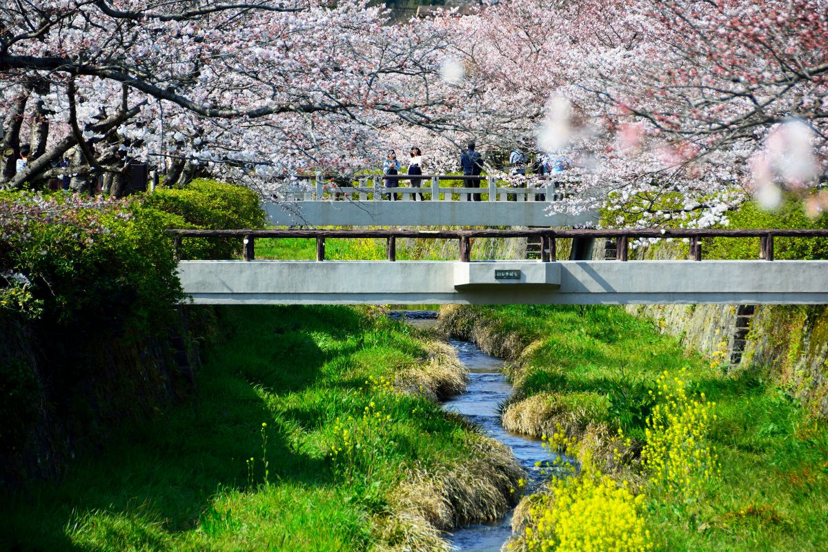 一の坂川（山口県）